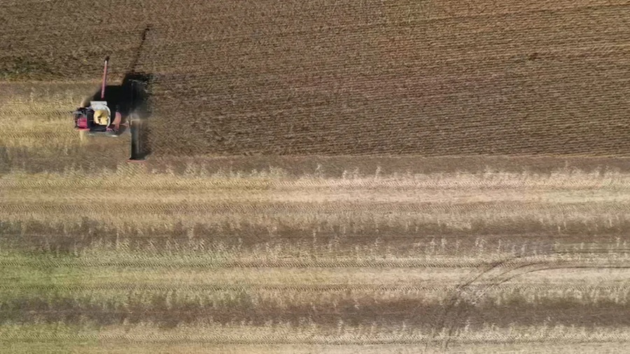US Just Accused China of Agroterrorism